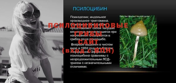 ECSTASY Алексин