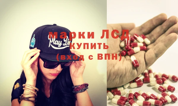 стаф Абинск