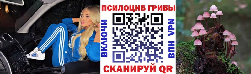 Галлюциногенные грибы мухоморы Кадников