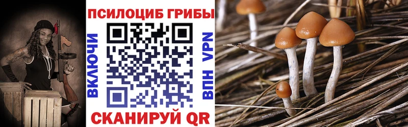 Галлюциногенные грибы ЛСД  Кадников 